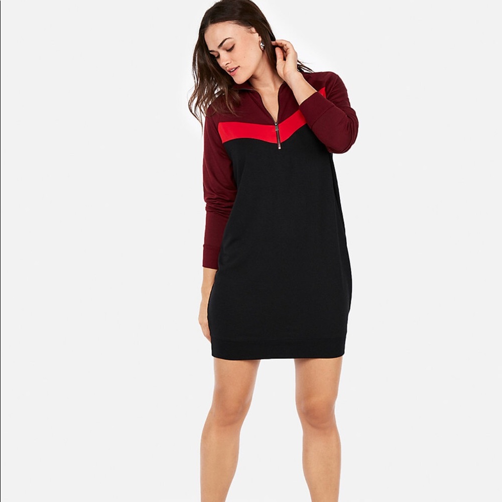 Express Sweatshirt Dress